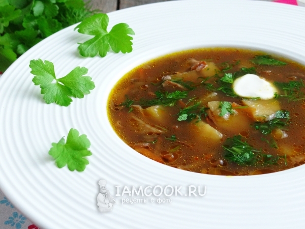 Грибной суп из сушеных грибов в мультиварке