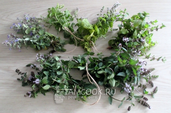 Связать мяту в пучки