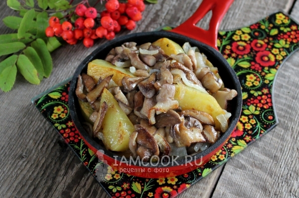 Рецепт жареных маслят с картошкой