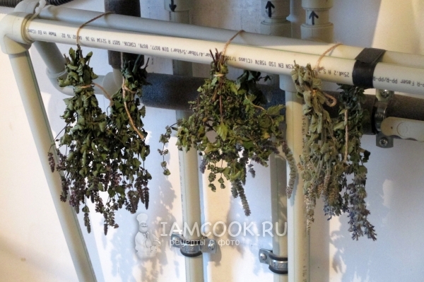 Высушить мяту