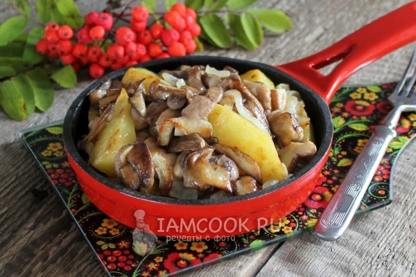 Фото жареных маслят с картошкой