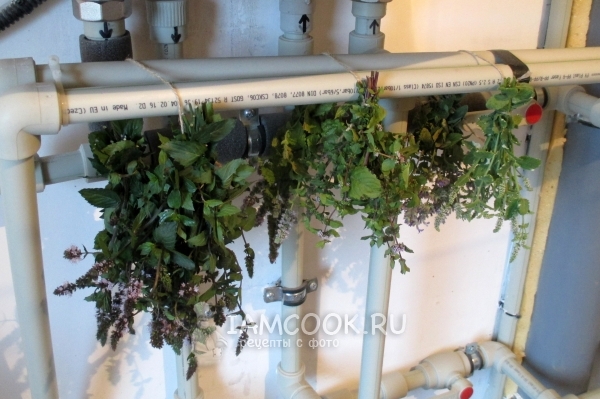 Подвесить мяту для сушки