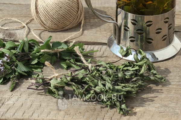 Рецепт сушки мяты на зиму