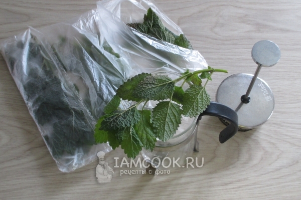 Фото заморозки мяты на зиму