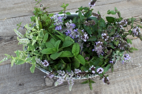 Собрать мяту