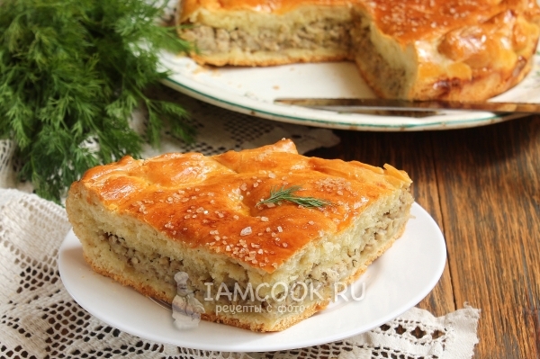 Фото дрожжевого пирога с мясом
