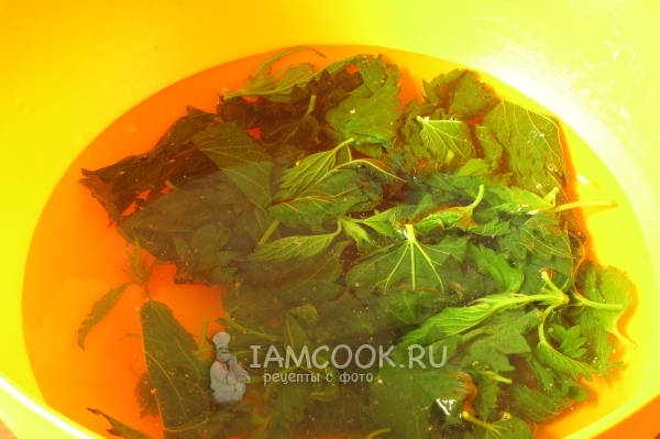 Отварит слегка крапиву