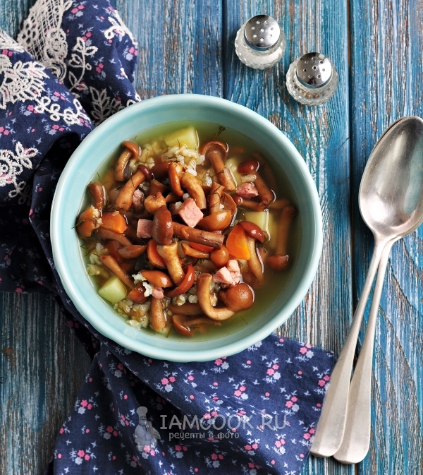 Фото грибного супа из замороженных опят