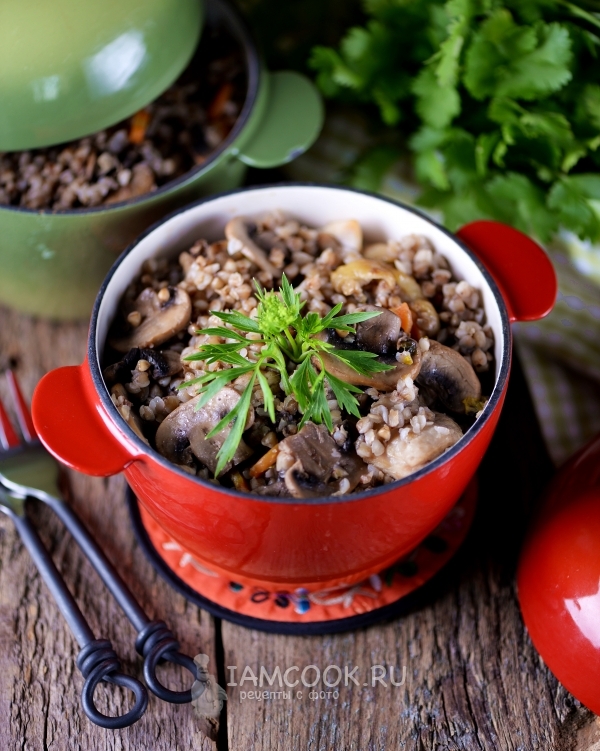 Фото гречки с грибами в горшочке в духовке