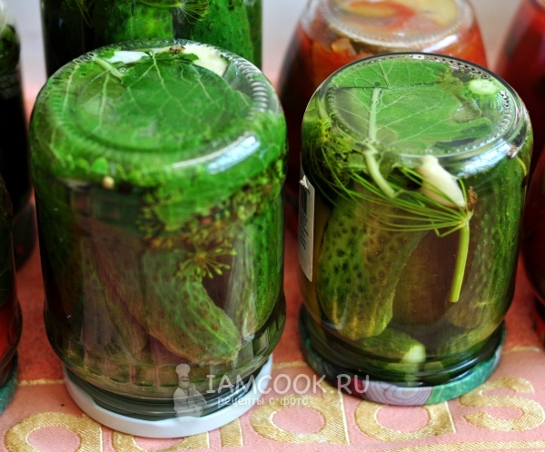 Рецепт хрустящих маринованных огурцов на зиму в банках