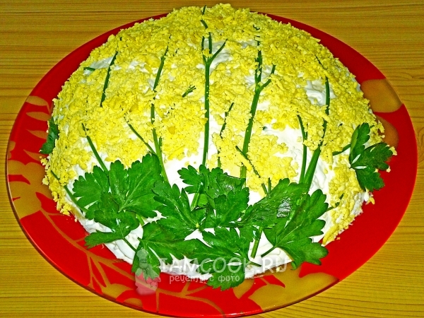 Фото слоеного салата «Мимоза»