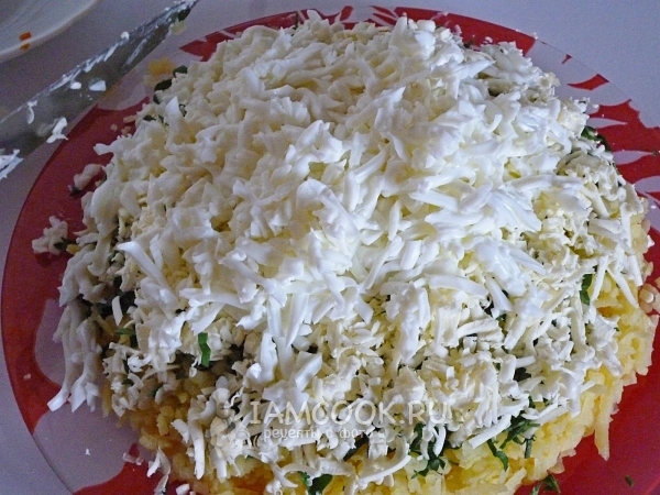 Выложить слой белков