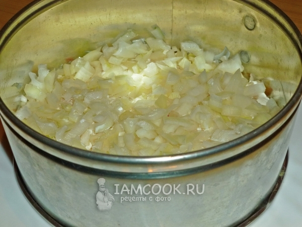 Выложить слой лука