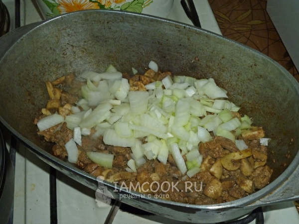 Положить лук в утятницу