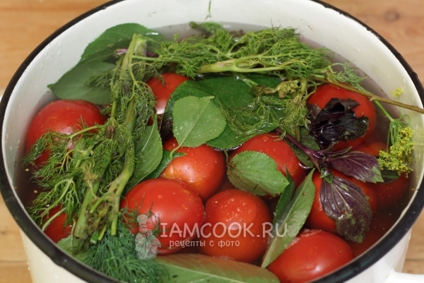 Влить воду и положить помидоры