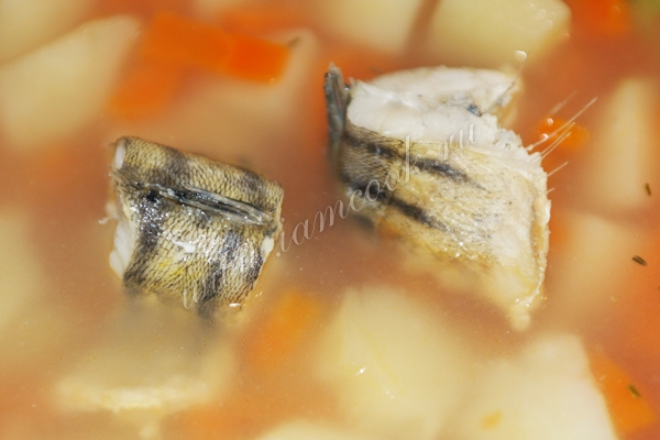 Домашняя уха