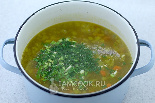 Рецепт супа из куриных желудков