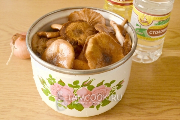 Положить грибы в кастрюлю с водой