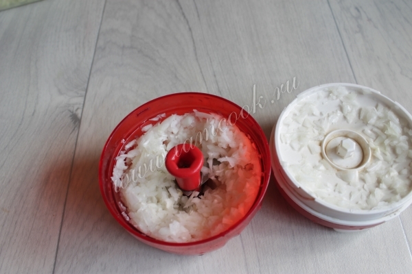 Репчатый лук