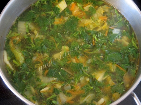 Готовый зеленый борщ с крапивой