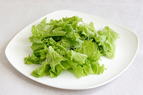 Листья салата