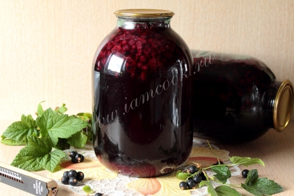 Рецепт компота из черной смородины на зиму
