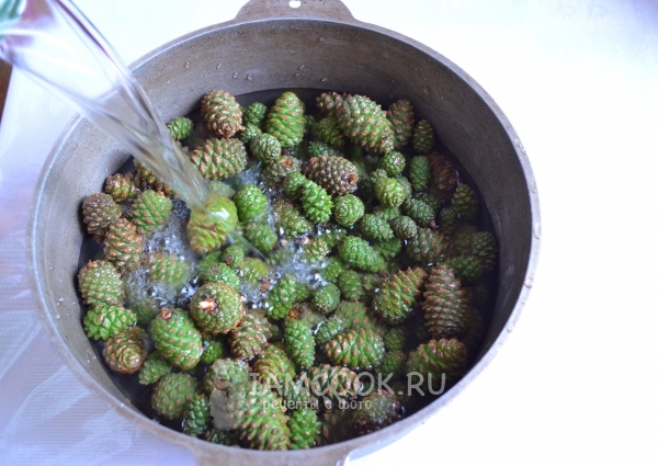 Залить шишки водой