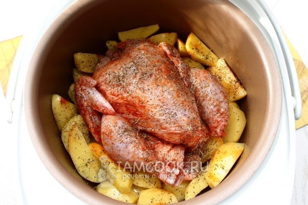 Положить курицу и посыпать специями