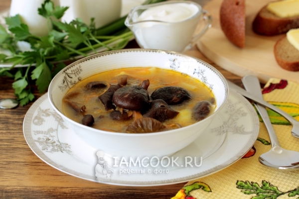 Фото вкусного грибного супа из замороженных грибов