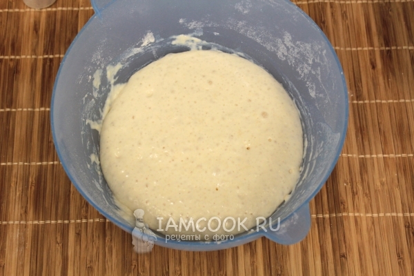 Подошедшая опара