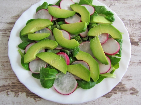 салат с редисом и авокадо