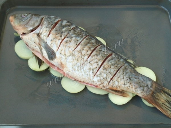 Выложить карпа