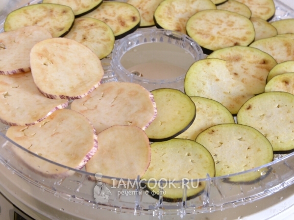 Порезанные баклажаны положить в электросушилку