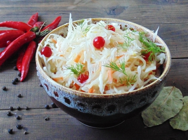 Фото квашеной капусты