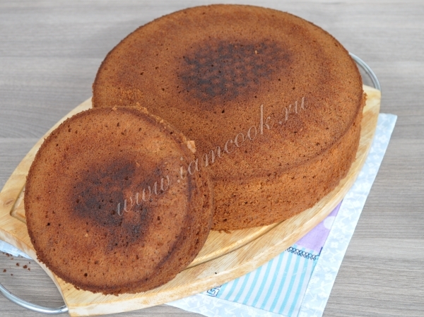 Коржи для торта