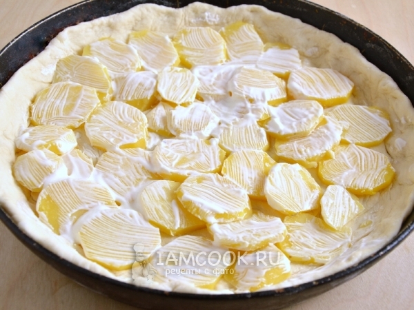 Выложить на тесто картофель смазанный сметаной