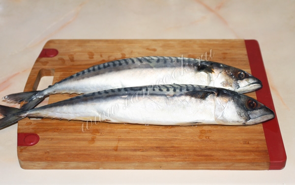 Две скумбрии