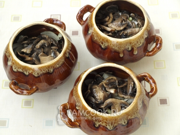 Выложить грибы