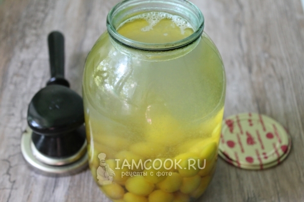 Фото компота из алычи на зиму перед закаткой