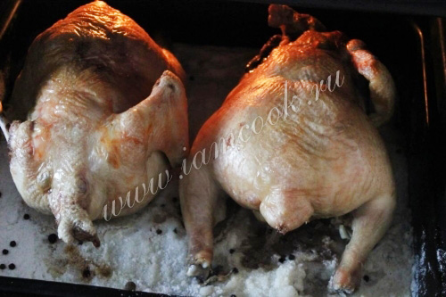 Как запечь курицу на соли
