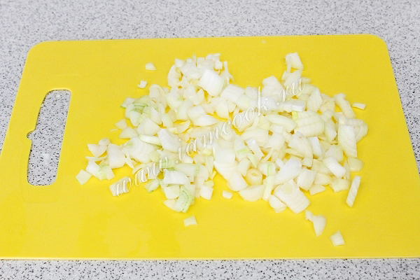 Измельчённый лук