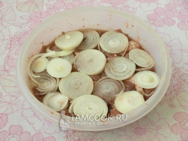 Соединить мясо, томатный сок, лук и приправы