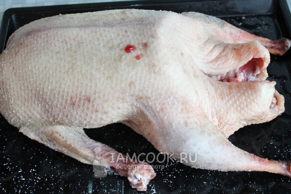 Натереть гуся солью