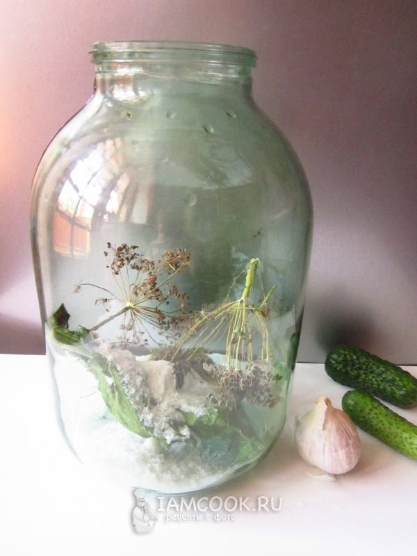Уложить в банку соль, зелень, чеснок и специи