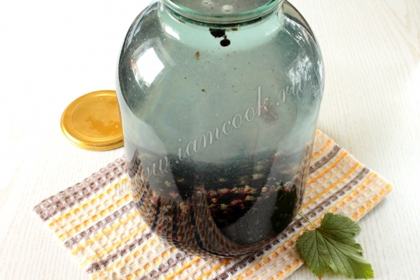 Смородина залитая кипятком