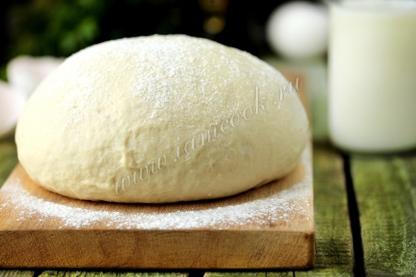 Рецепт теста для пиццы на молоке