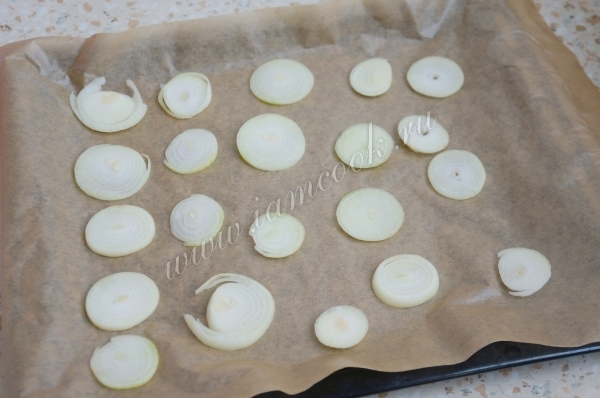 Лук репчатый