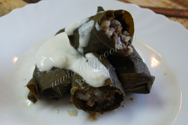 Рецепт долмы в виноградных листьях