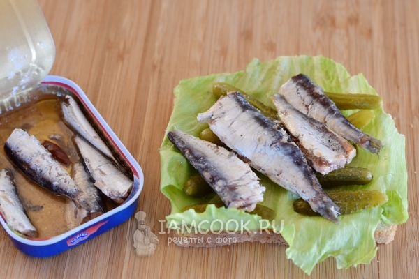 Выложить сардины