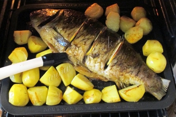 Запекание карпа в духовке